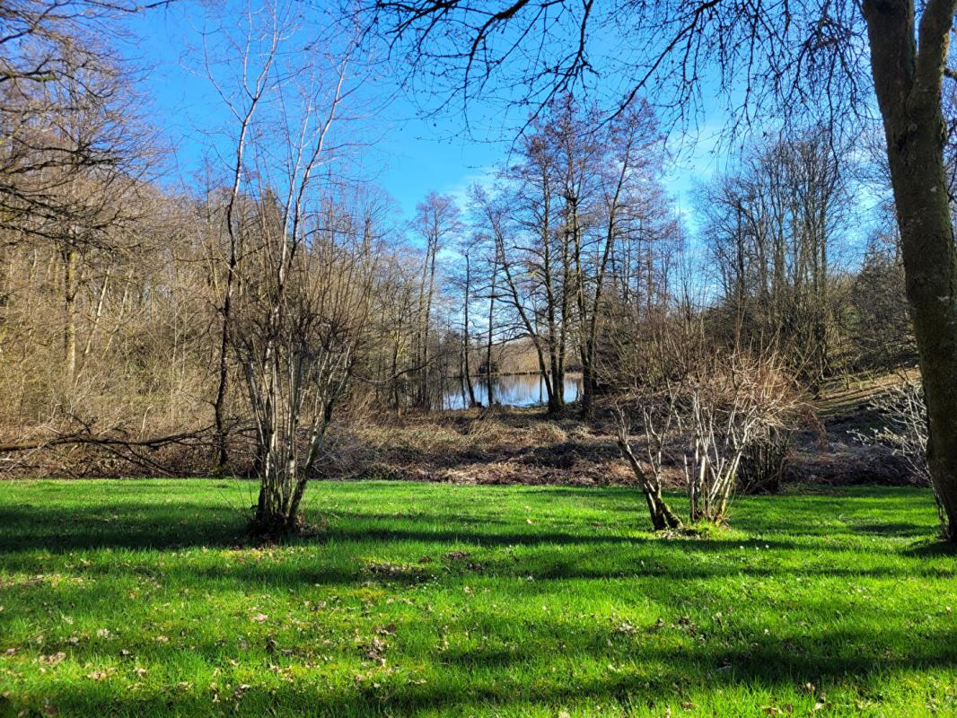 SAINTE-MARIE-EN-CHANOIS grand maison 379 m2, 14 pièces, isolée, avec étang 6