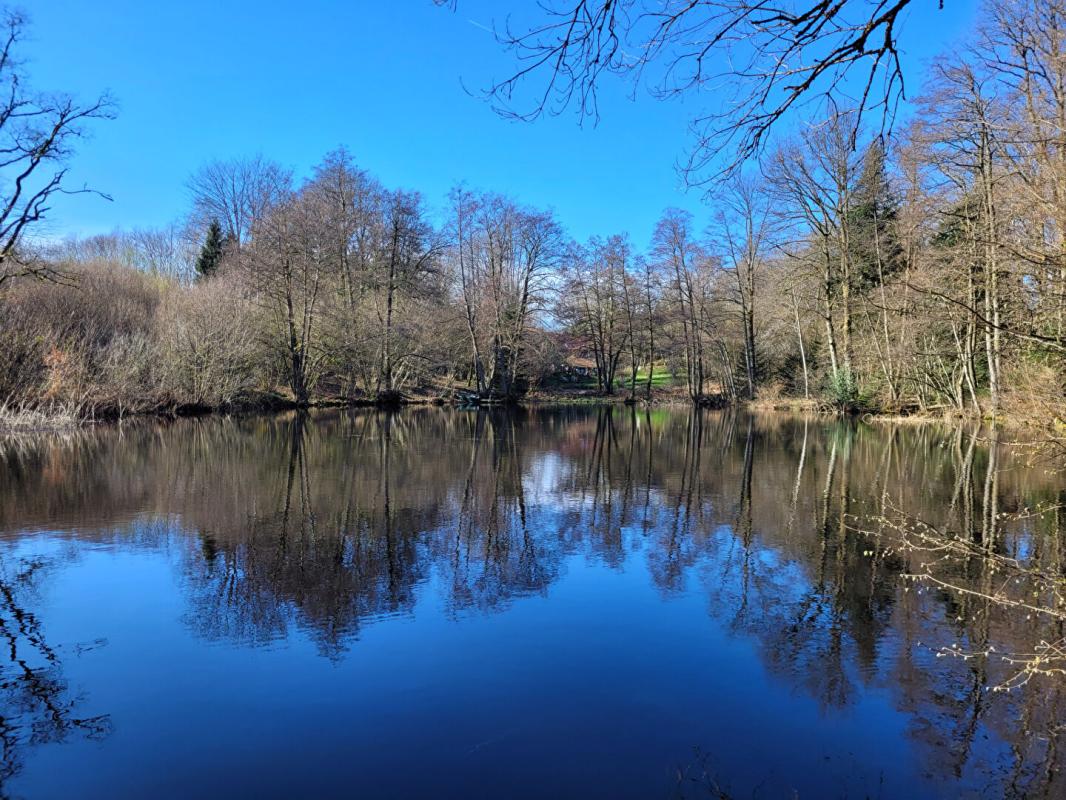 SAINTE-MARIE-EN-CHANOIS grand maison 379 m2, 14 pièces, isolée, avec étang 7