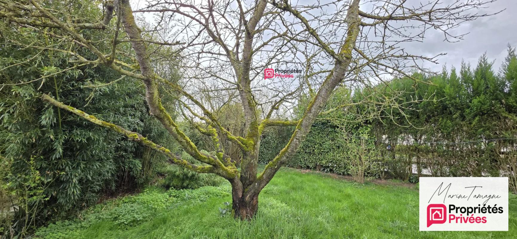 GRANDFRESNOY Maison individuelle de 90m² à Grandfresnoy - 3 Chambres et dépendances 16