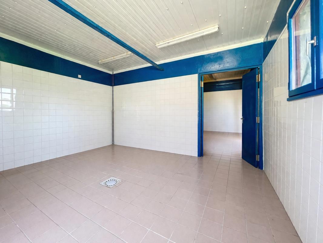 SAINT-AIGNAN Maison de plain-pied avec verger, piscine et grands hangars 14