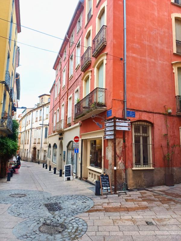 PERPIGNAN Grand T2 de 54.35 M2- charme et luminosité- Perpignan Campo Santo 14