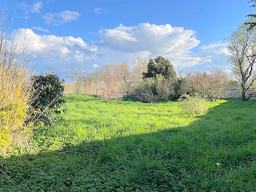 AIGREFEUILLE-D'AUNIS Maison de Maître 1860 - 371 m² - 6 chambres - Domaine avec dépendances - Proche Surgères & Aigrefeuille 13