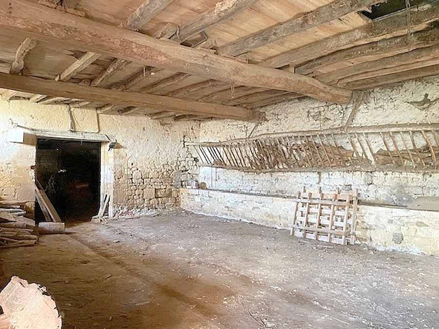 AIGREFEUILLE-D'AUNIS Maison de Maître 1860 - 371 m² - 6 chambres - Domaine avec dépendances - Proche Surgères & Aigrefeuille 18