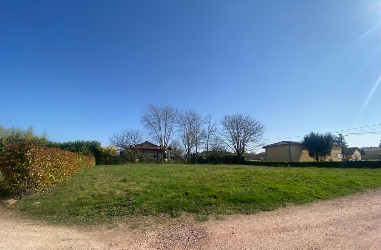 CROTTET Terrain à vendre - Opportunité rare à Crottet (01) 1