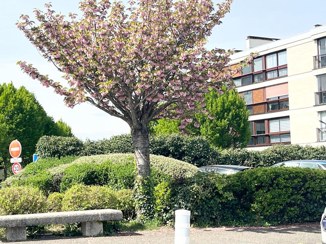 FONTENAY-LE-FLEURY Appartement Fontenay Le Fleury 5 pièce(s) 98 m2 1