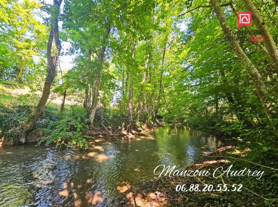 VANLAY Demeure de prestige Vanlay 12 pièce(s) 1456 m2 17