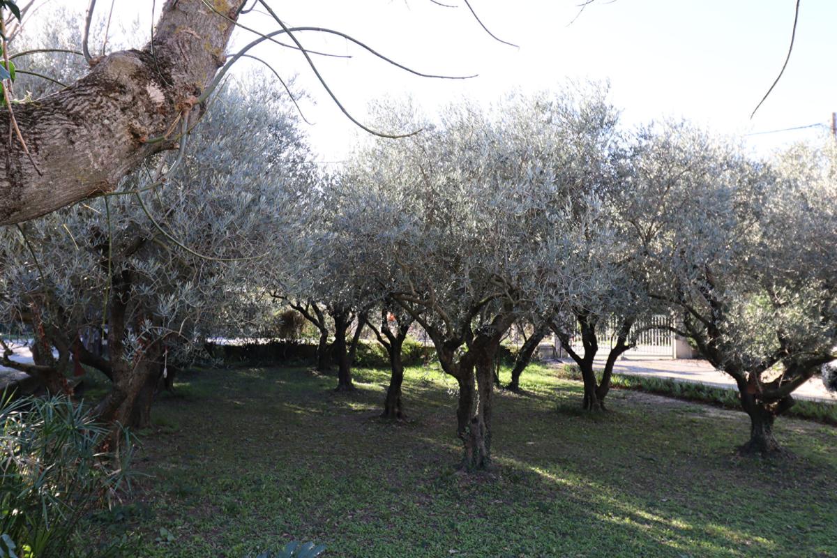 BEDARRIDES Mas en pierre Bédarrides 8 pièce(s) 210 m2 2