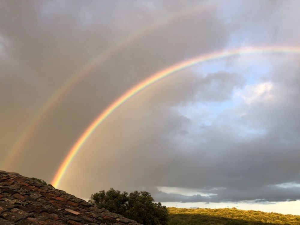 TORNAC Demeure de prestige de plus  20 pièce(s) 750 m2 sur environ 7 Hectares 1