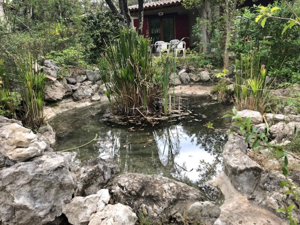 TORNAC Demeure de prestige de plus  20 pièce(s) 750 m2 sur environ 7 Hectares 5