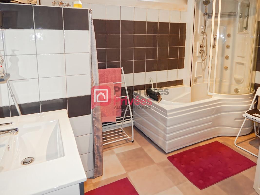 PONT-SUR-VANNE Maison Pont Sur Vanne 9 pièce(s) 260 m2 11