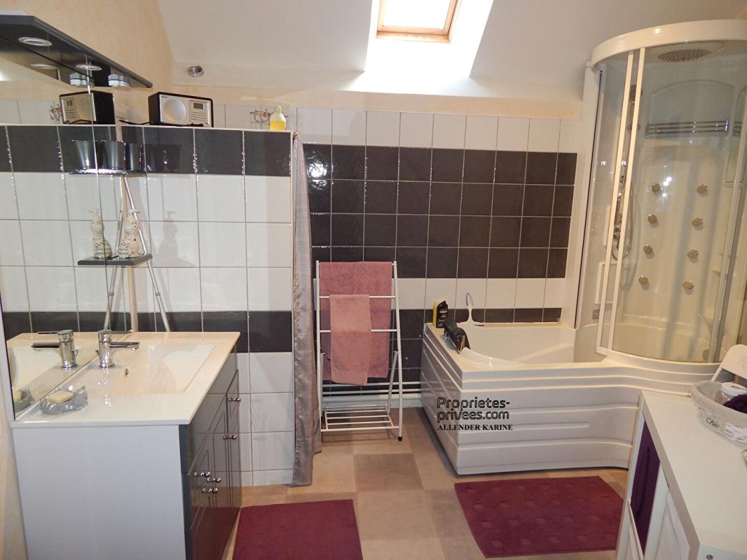 PONT-SUR-VANNE Maison Pont Sur Vanne 9 pièce(s) 260 m2 12