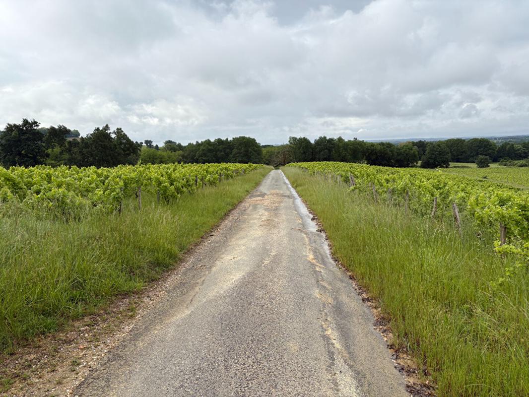 SAINTE-CROIX-DU-MONT DOMAINE D'EXCEPTION SUR LES COTEAUX DE SAINTE CROIX DU MONT : UN FORT POTENTIEL ENTRE CIEL ET VIGNES 18