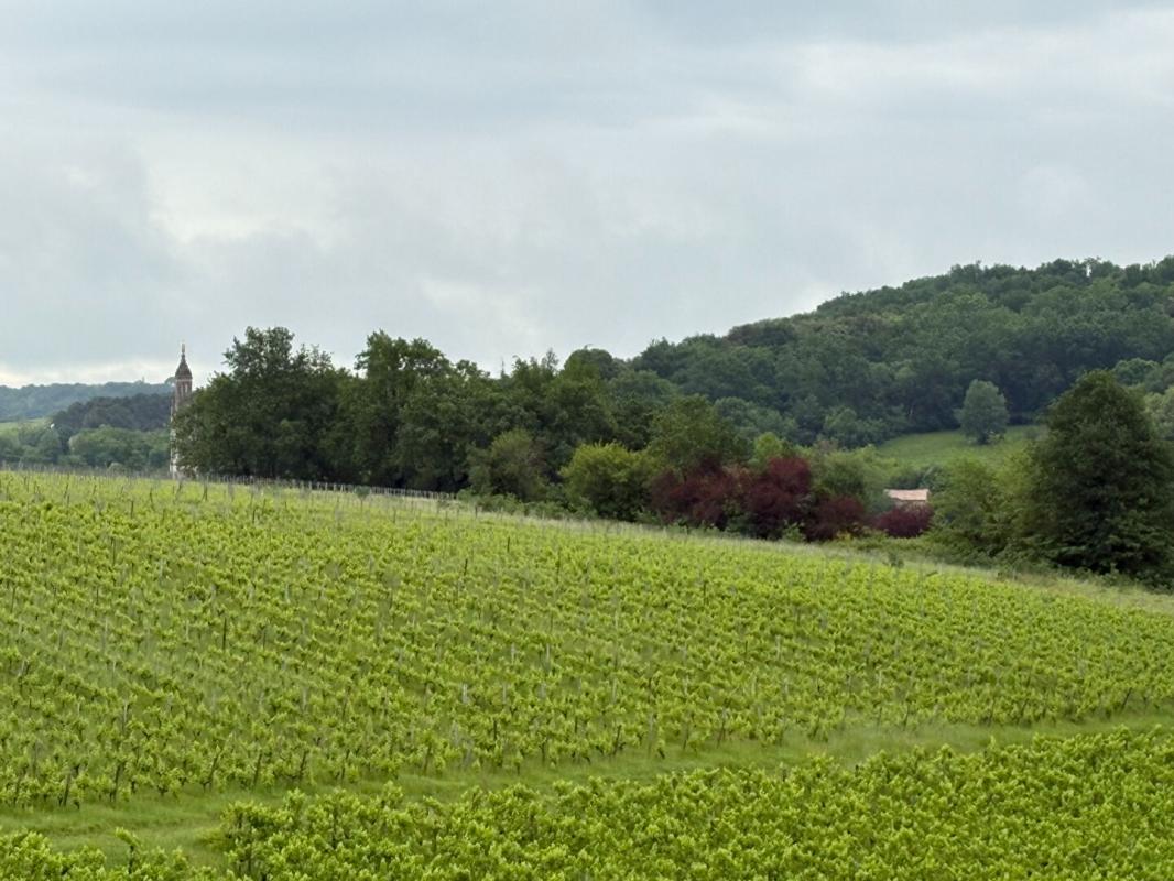 SAINTE-CROIX-DU-MONT DOMAINE D'EXCEPTION SUR LES COTEAUX DE SAINTE CROIX DU MONT : UN FORT POTENTIEL ENTRE CIEL ET VIGNES 7