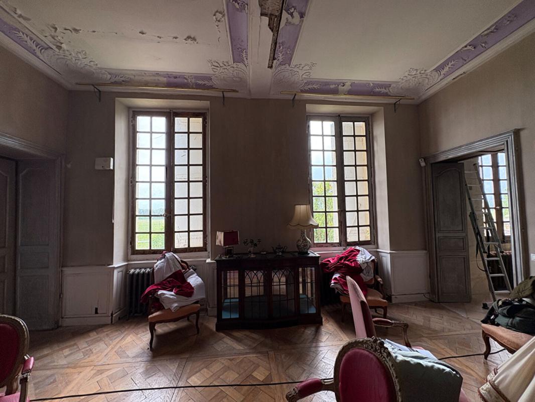 LOUPIAC UN CHEF-D'OEUVRE LOUIS XV À RÉINVENTER Château  XVIIIe proche Langon 11