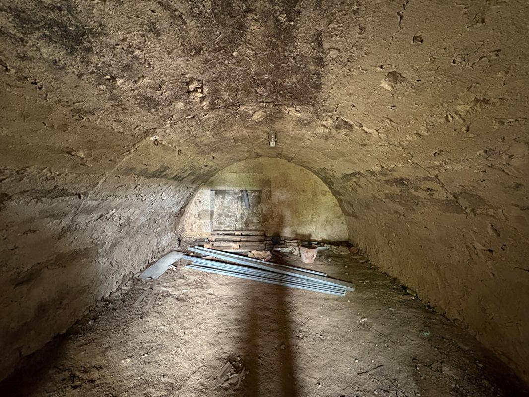 LOUPIAC UN CHEF-D'OEUVRE LOUIS XV À RÉINVENTER Château  XVIIIe proche Langon 16