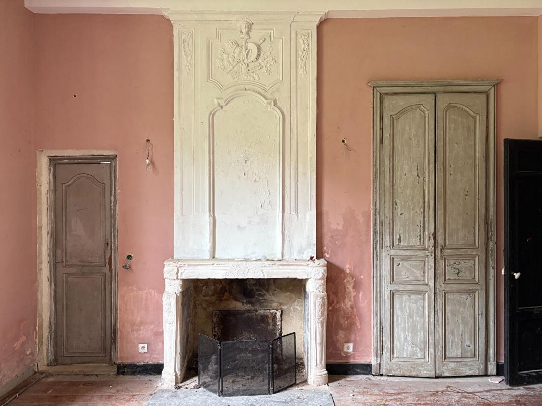 LOUPIAC UN CHEF-D'OEUVRE LOUIS XV À RÉINVENTER Château  XVIIIe proche Langon 6