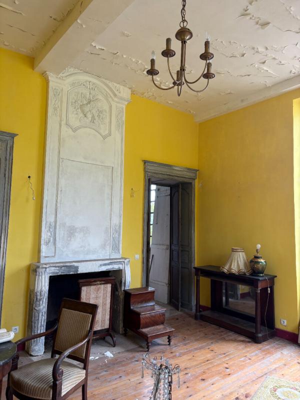 LOUPIAC UN CHEF-D'OEUVRE LOUIS XV À RÉINVENTER Château  XVIIIe proche Langon 7