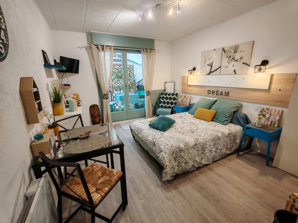 DAX Appartement Dax hyper ventre ville 20 m2 1