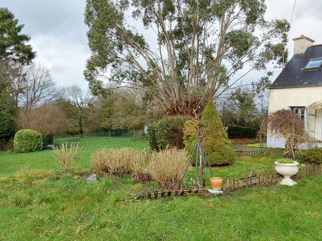 PAULE Maison Paule 5 pièce(s) 82 m2 16