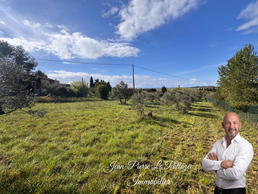 ARLES Maison de charme en campagne au Calme absolu 6
