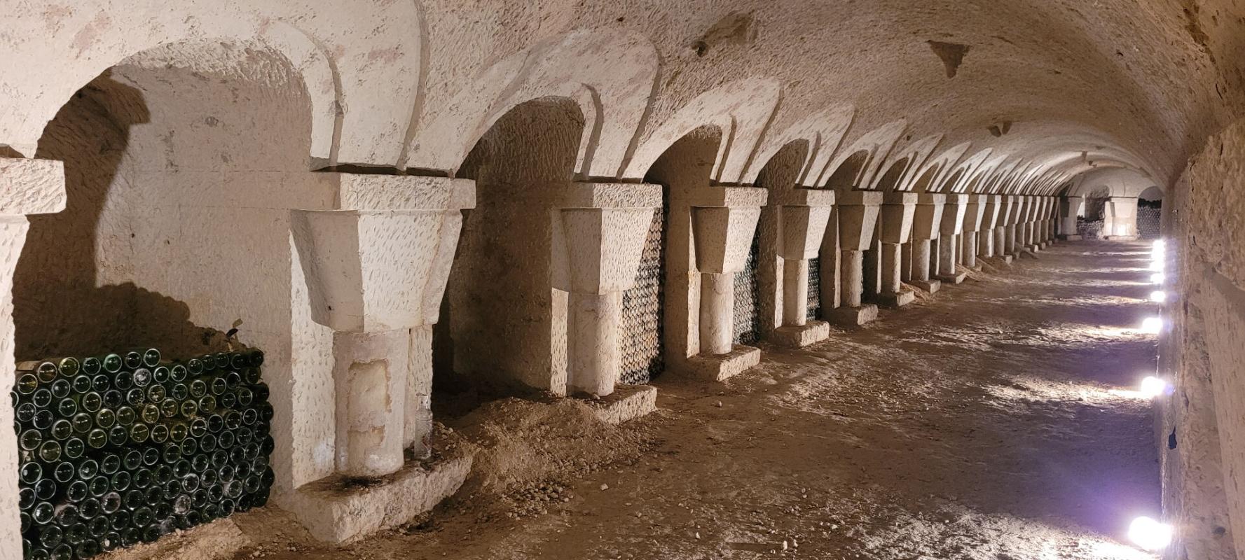 LA CHARTRE-SUR-LE-LOIR MANOIR A LA CHARTRE SUR LE LOIR 9