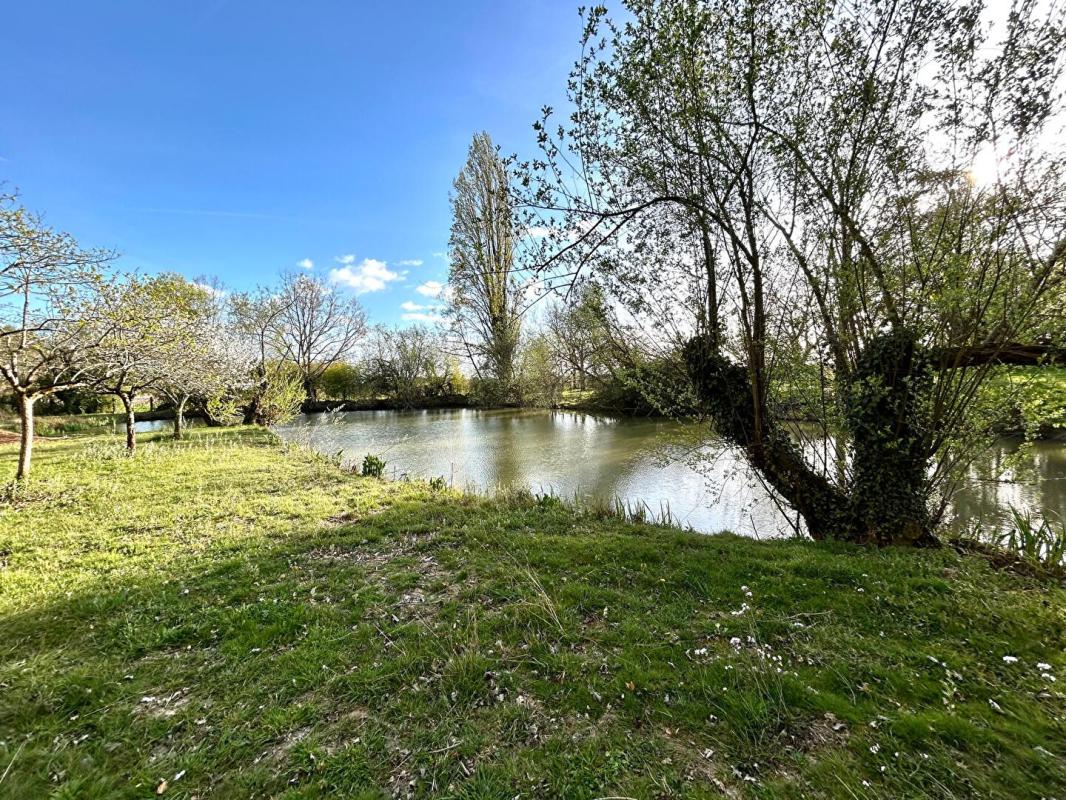 PUGNAC DÉCOUVREZ LE CHARME ET LES VOLUMES D'UNE MAISON D'ARCHITECTE - 300 M2 - 4 CHAMBRES   À PUGNAC DANS UN PARC ARBORÉ POUR SAVOURER LA TRANQUILITÉ 16