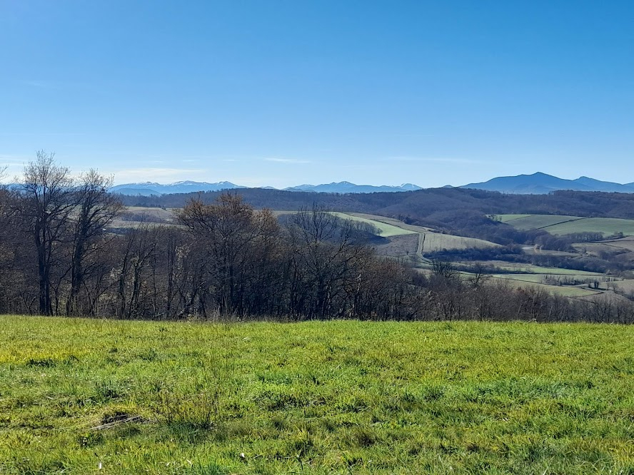 BIDACHE terrain constructible 5 ha PAYS BASQUE 9