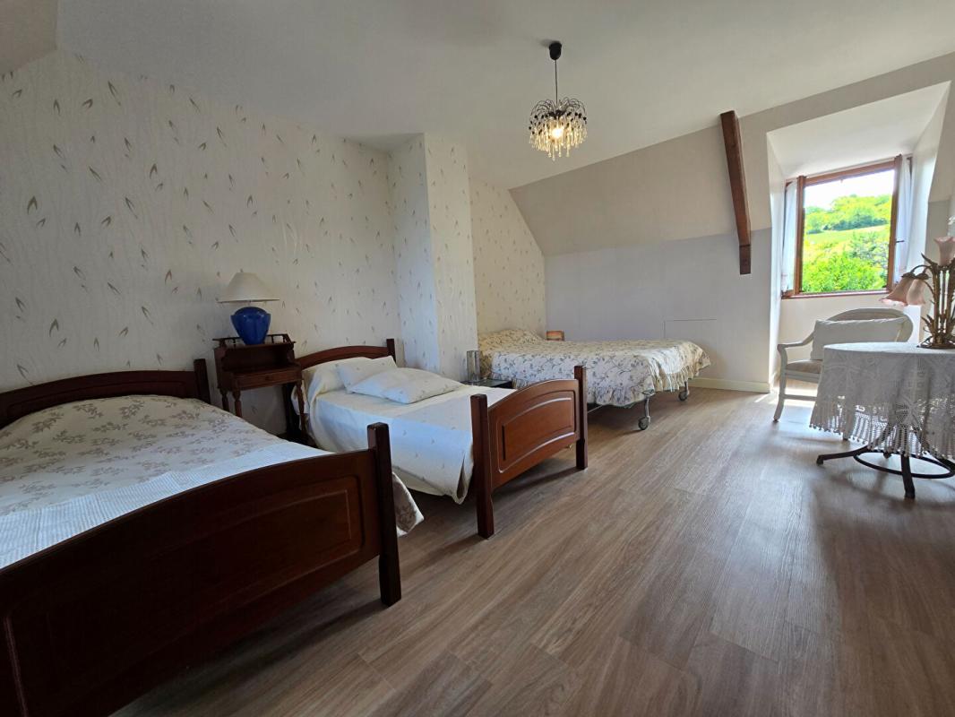 CREUZIER-LE-VIEUX Maison Creuzier Le Vieux 7 pièce(s) 193 m2 8