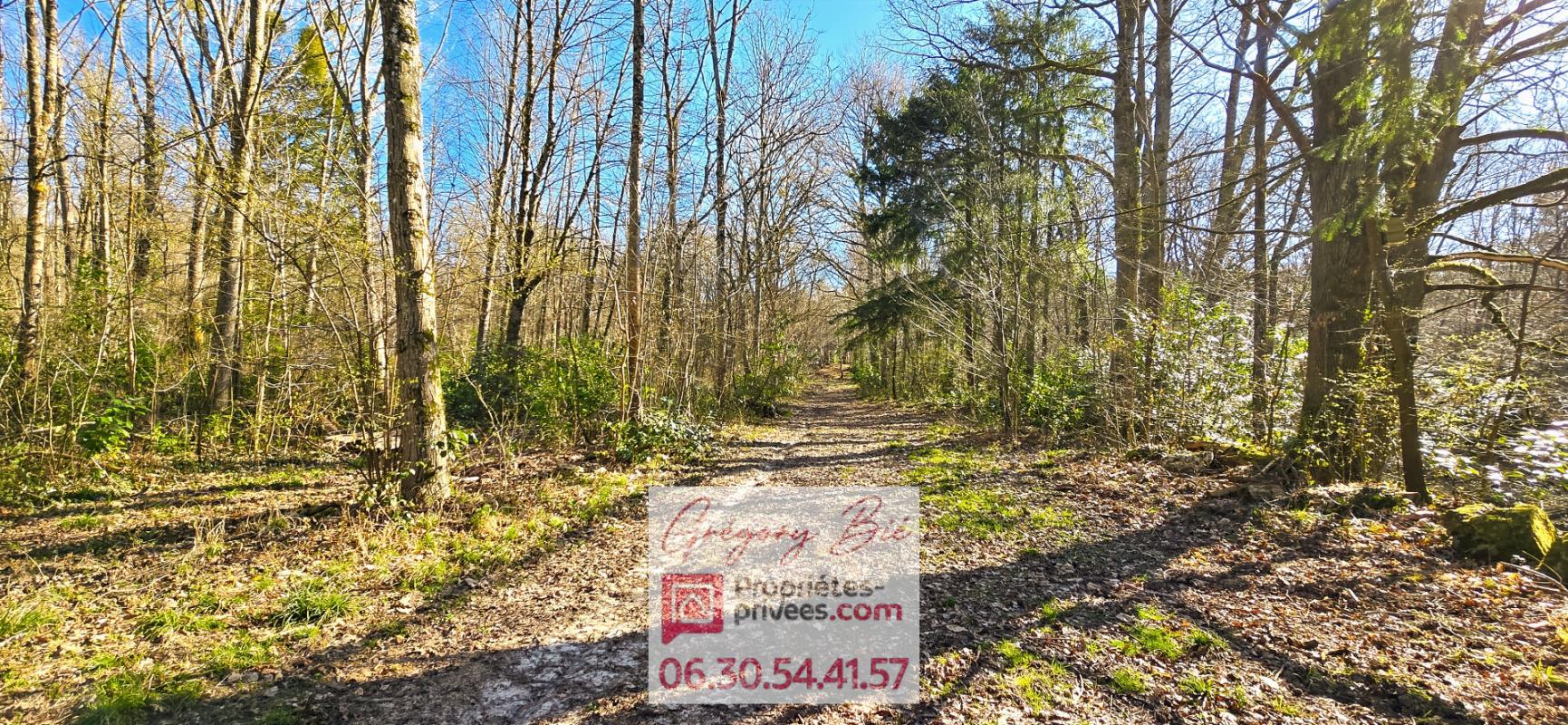 LA FERTE-SOUS-JOUARRE Propriété La Ferté-sous-Jouarre 16