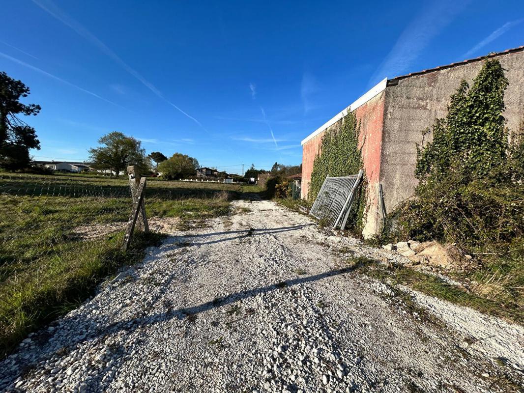 PUGNAC Terrain  à bâtir pour locaux Industriels et Commerciaux   -  4724 m2 - LOTS C1 et C2 5