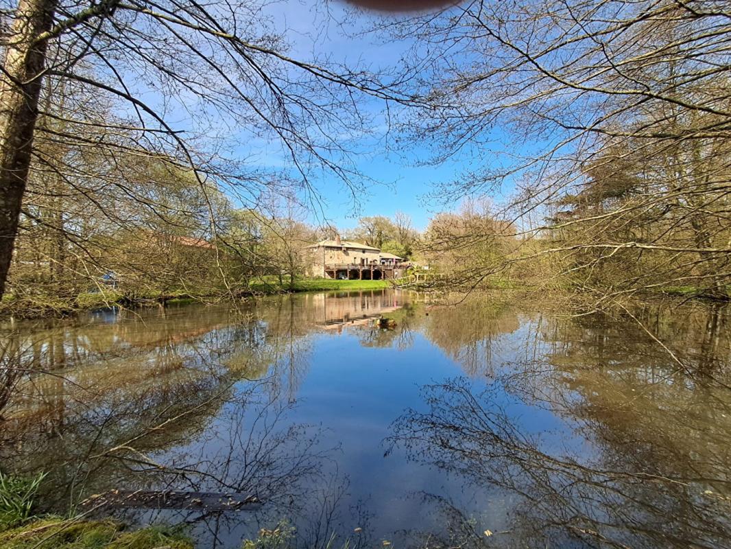 SAINT-PAUL-EN-GATINE Ancien Moulin dans son cadre bucolique 9