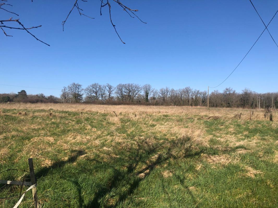 FLEURE Maison Fleure 350 m2 14