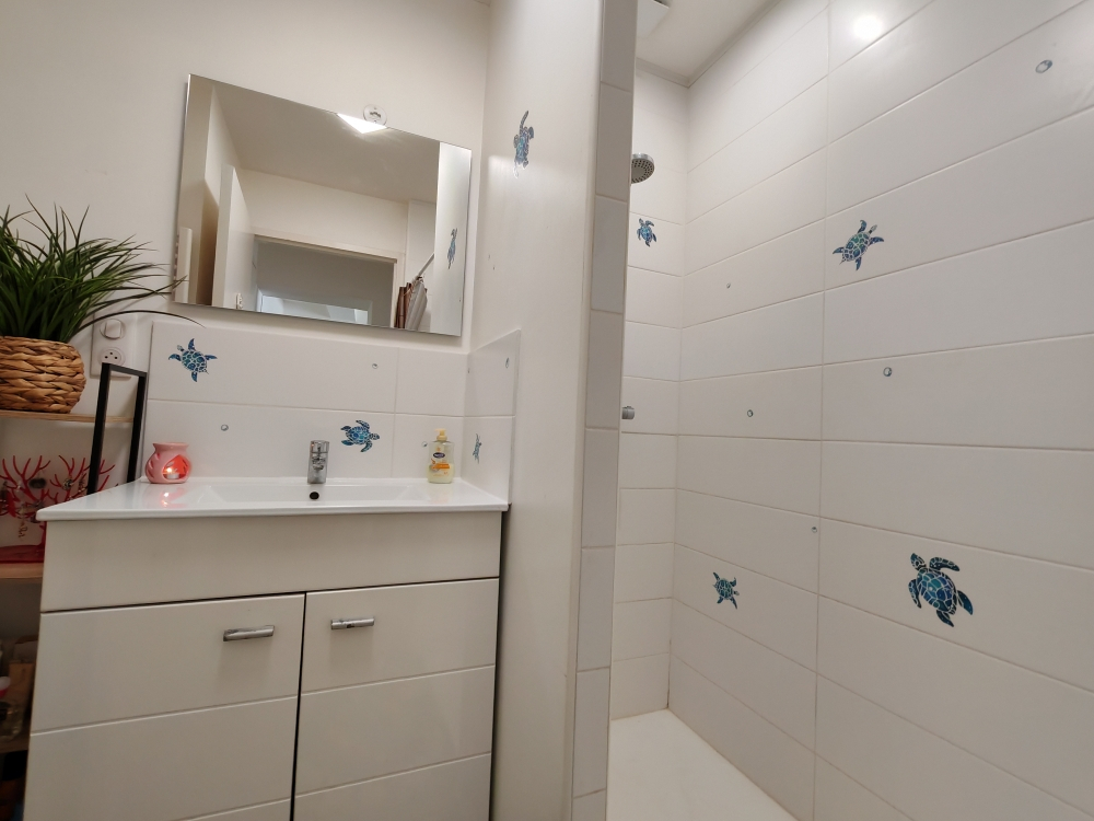 PONTONX-SUR-L'ADOUR Appartement dans maison de village 69 m2 10 minutes de Pontonx 7