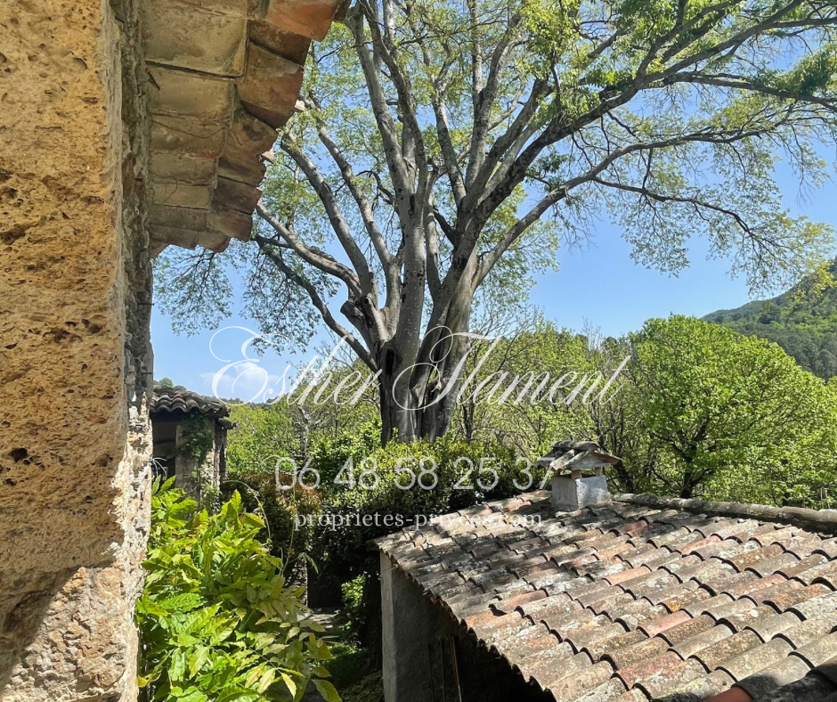 ANDUZE Mas cévenol 10