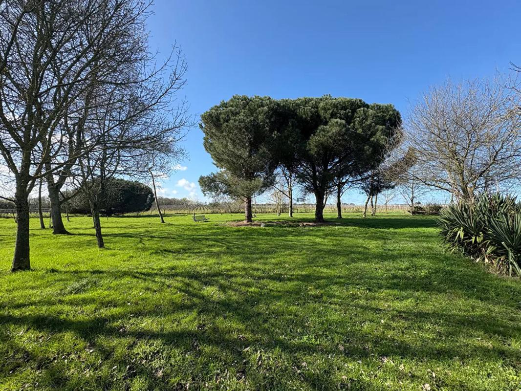 SAINT-LAMBERT-DU-LATTAY Maison Val Du Layon 9 pièce(s) 261 m2 2