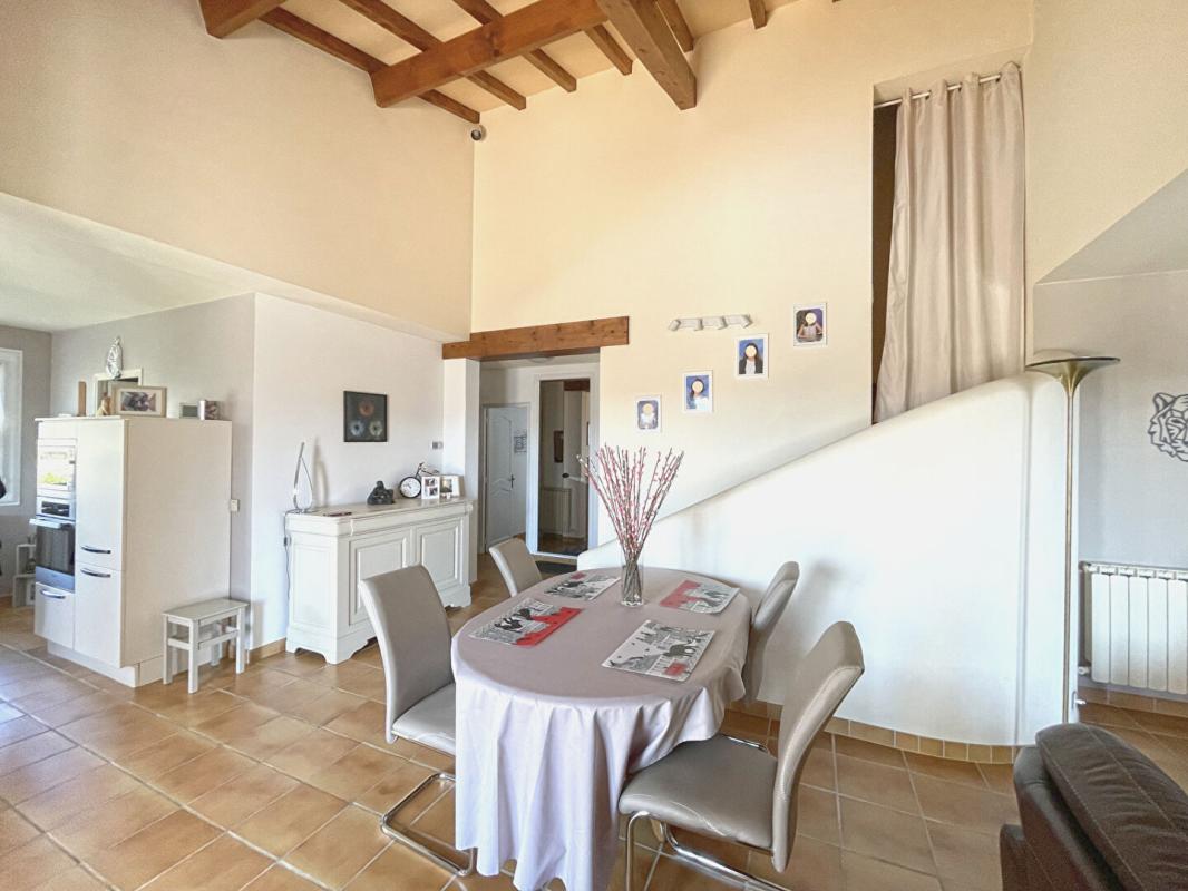 DIGNE-LES-BAINS Maison individuelle avec piscine  - Vue dominante -  Digne-les-Bains (04000) 8