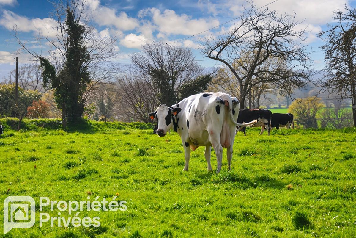 MONTENAY Maison en pierre 5 pièce(s) 132 m2 14