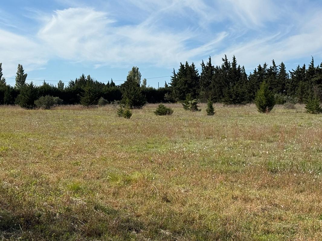 ARLES Maison Arles 7 pièce(s) 198 m2 11