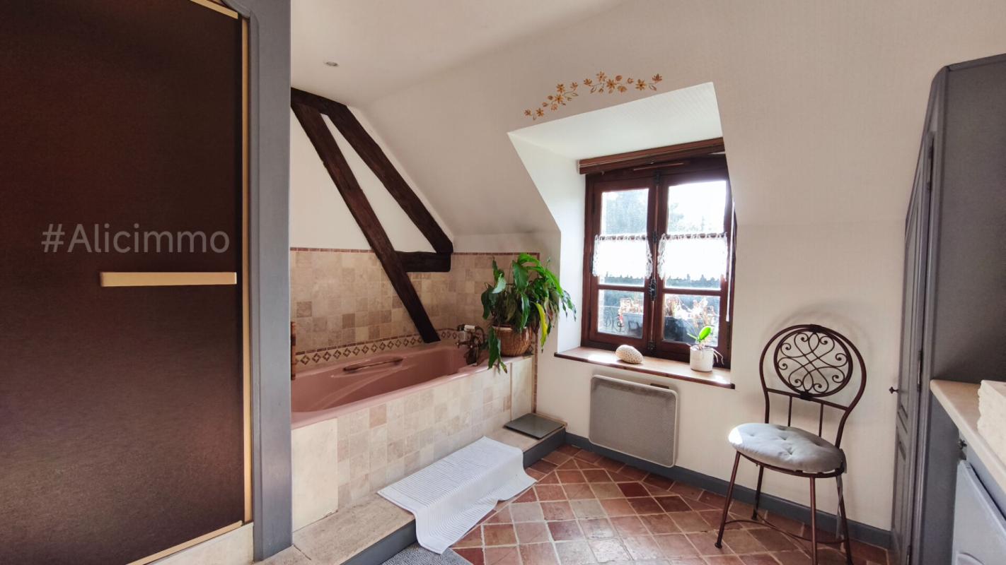 SEZANNE Propriété de charme dans un cadre privilégié 12