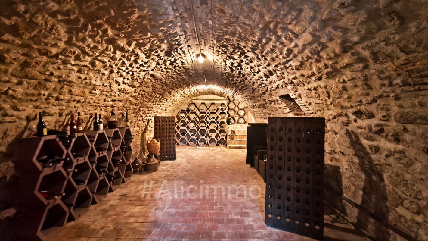 SEZANNE Propriété de charme dans un cadre privilégié 16