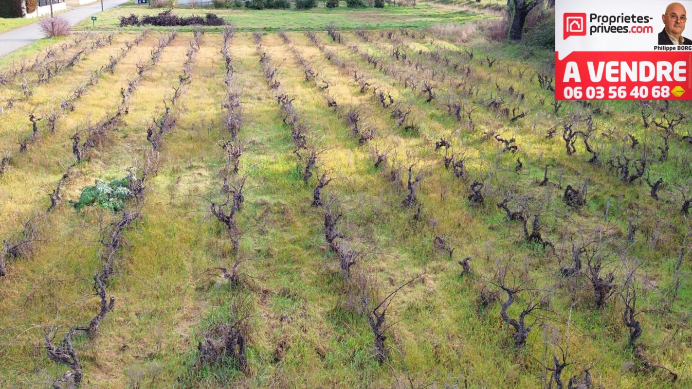 SAINTE-CECILE-LES-VIGNES Terrain plein sud à  Sainte Cécile Les Vignes 1