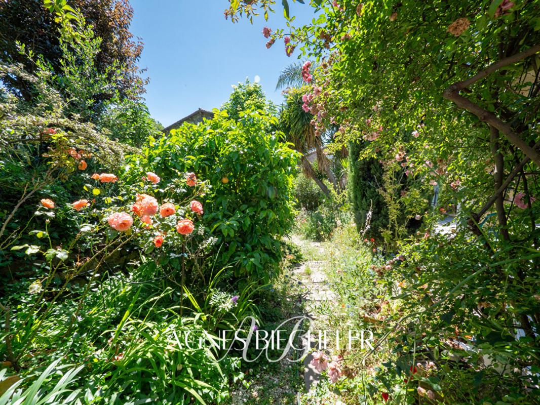 MONTESQUIEU-DES-ALBERES Superbe mas catalan rénové10 pièce(s) 270 m2 4