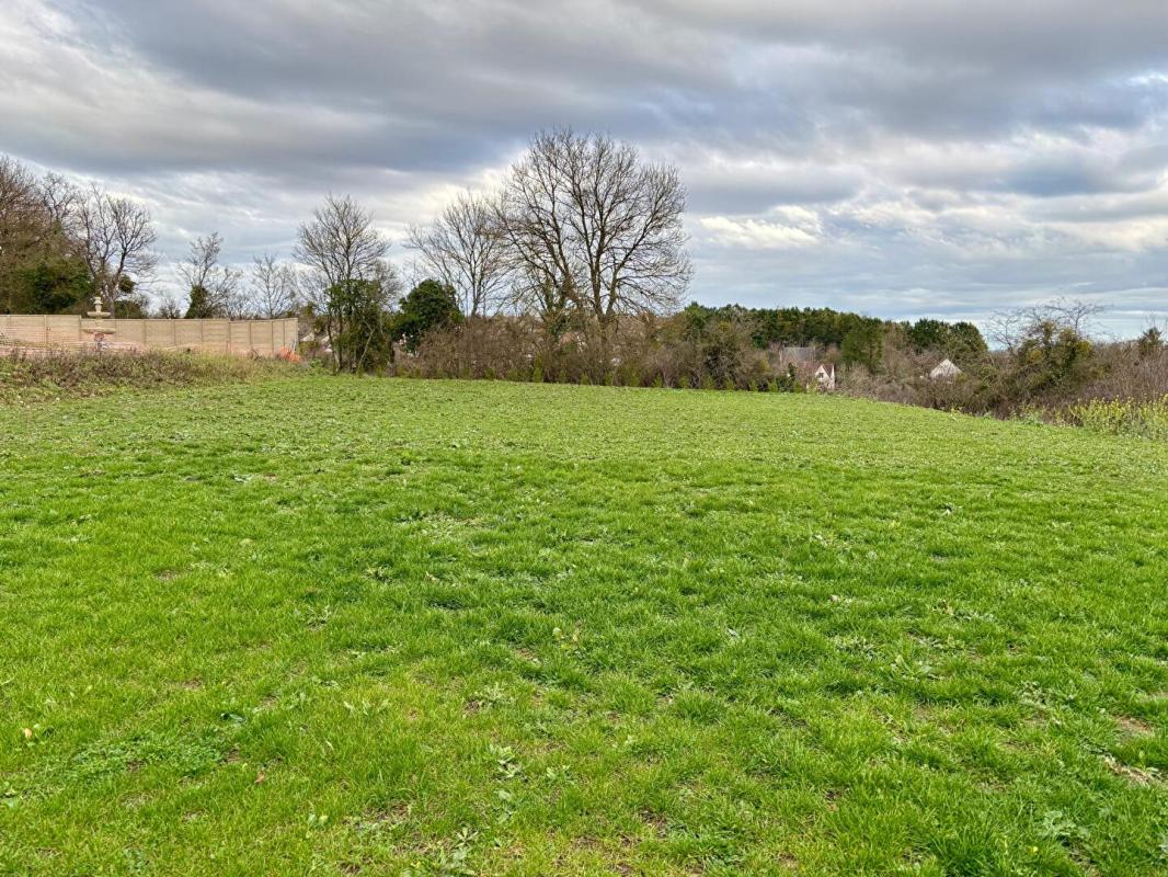 NEVERS Maison contemporaine toit plat - 156 m² - Terrain de 1861 m²  - Secteur Nevers 12