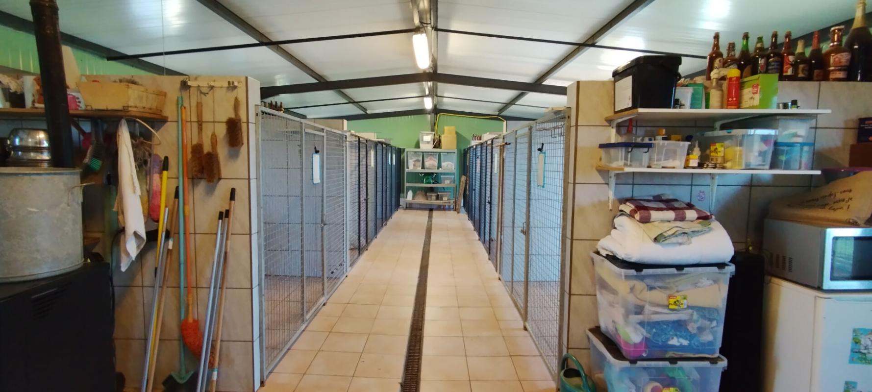 DIJON 21000 DIJON 40 MINUTES - Fonds de commerce + Murs PENSION CANINE 123 M² en parfait état sur terrain 1 hectare 3