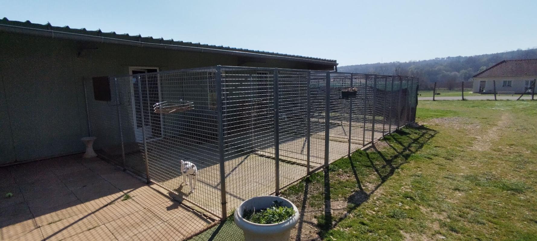 DIJON 21000 DIJON 40 MINUTES - Fonds de commerce + Murs PENSION CANINE 123 M² en parfait état sur terrain 1 hectare 5
