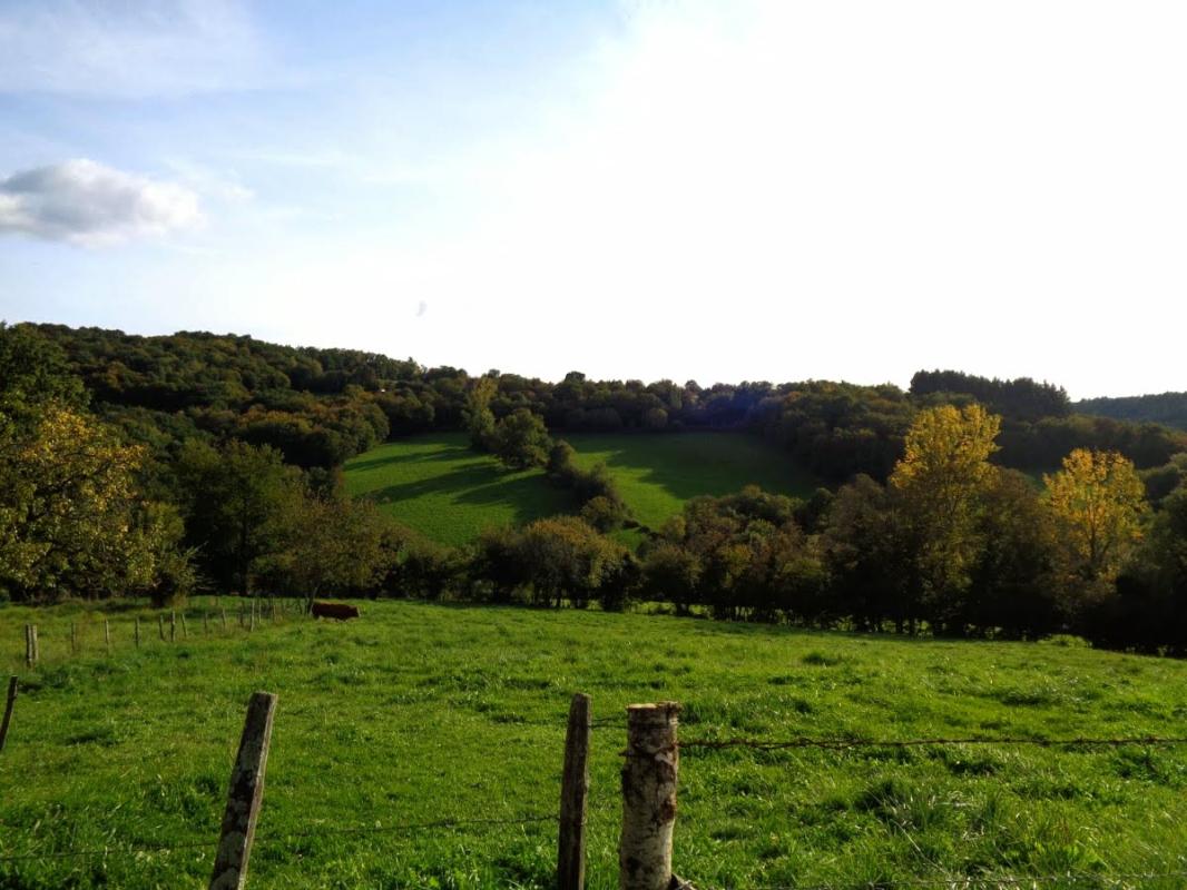 SAINT-PRIEST-LES-FOUGERES Ferme à Saint Priest Les Fougeres 3 pièce(s) 85 m2 10