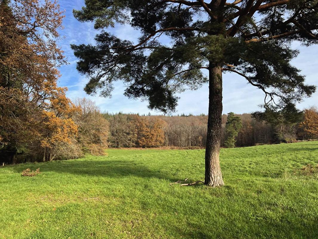 SAINT-PRIEST-LES-FOUGERES Ferme à Saint Priest Les Fougeres 3 pièce(s) 85 m2 7