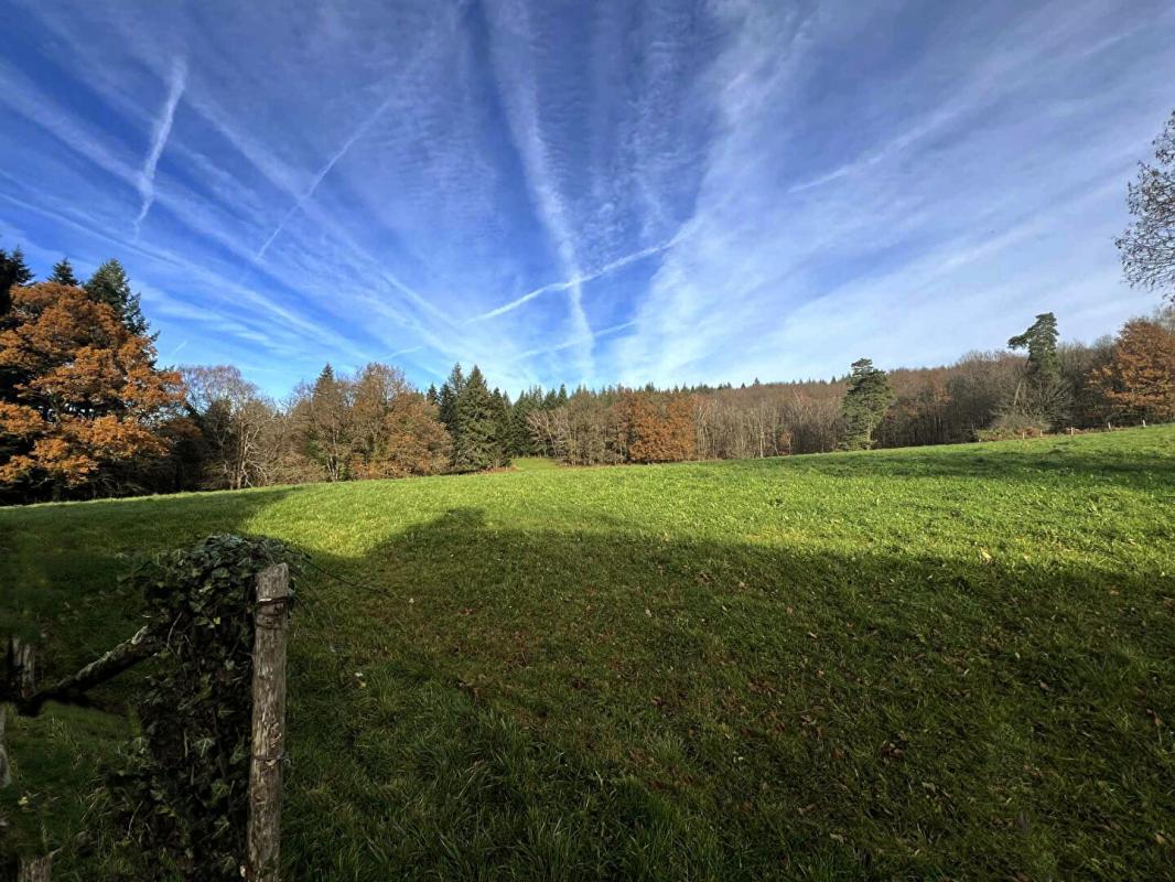 SAINT-PRIEST-LES-FOUGERES Ferme à Saint Priest Les Fougeres 3 pièce(s) 85 m2 8
