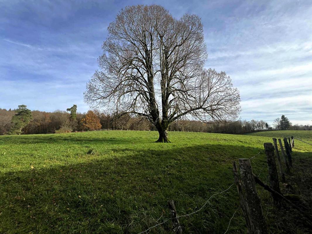 SAINT-PRIEST-LES-FOUGERES Ferme à Saint Priest Les Fougeres 3 pièce(s) 85 m2 9