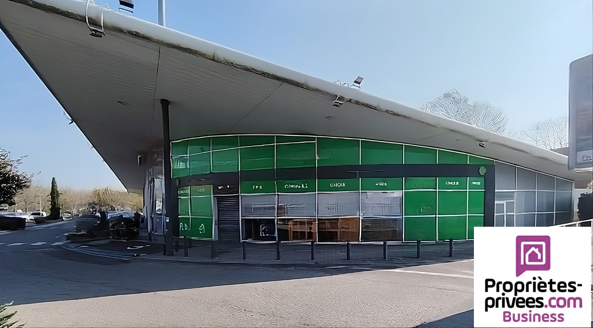 TOULOUSE TOULOUSE - EMPLACEMENT N°1 : Local Commercial  225 m² 5